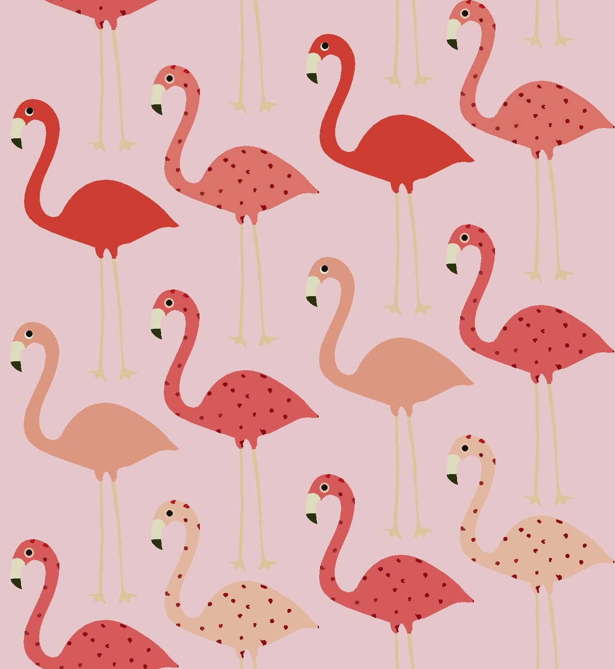 Pink Flamingo Pattern - CC - 9790 - 2